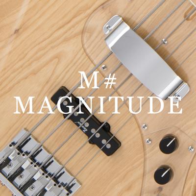 MAGNITUDE